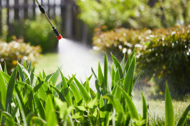 24/7 Emergency Mosquito Control experts in Sully Square, VA