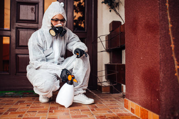 Reliable Mosquito Control contractor in Sully Square, VA by Nex Pest Control